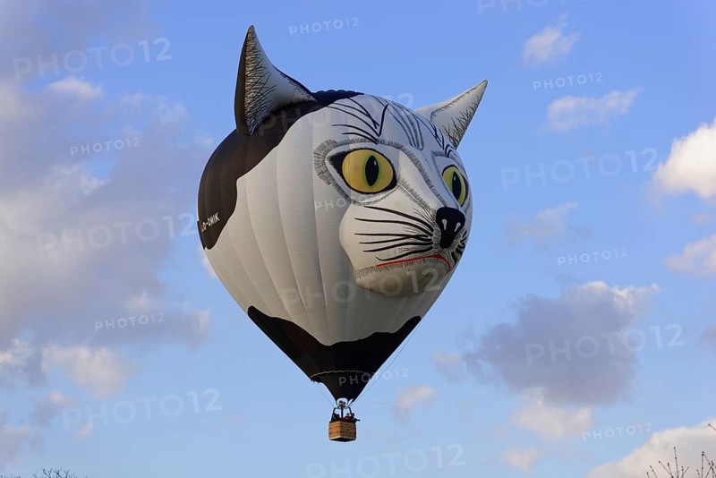 Hot air balloon