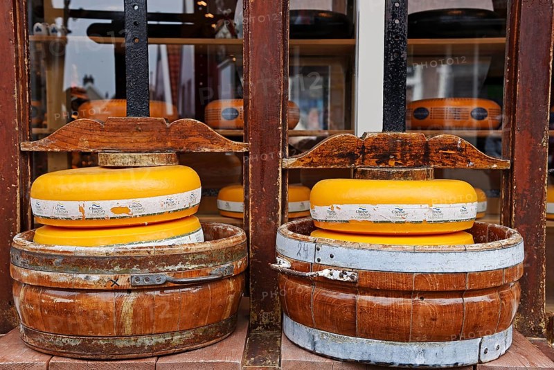 Cheese wheels in a cheese press