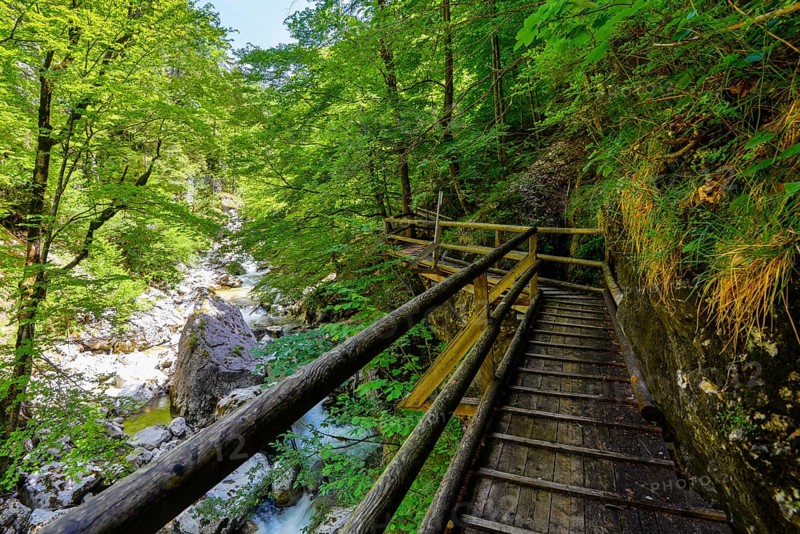 Wooden boardwalk in the Nothklamm gorge