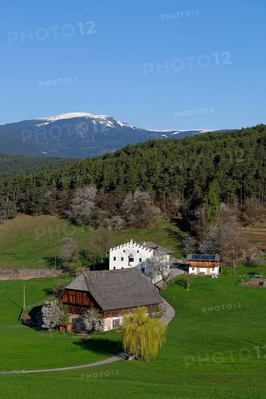 Old homestead