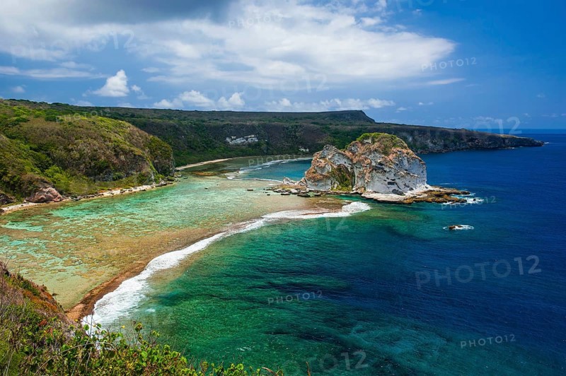 Bird Island