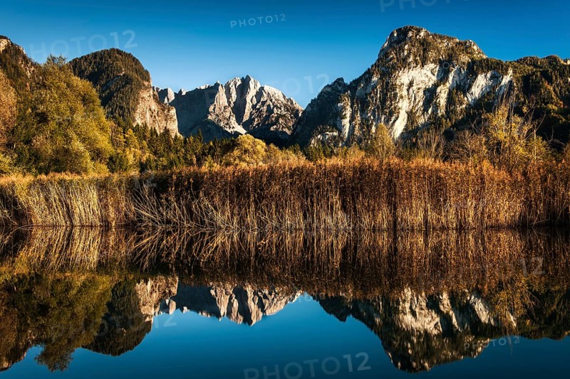 Pond in autumn