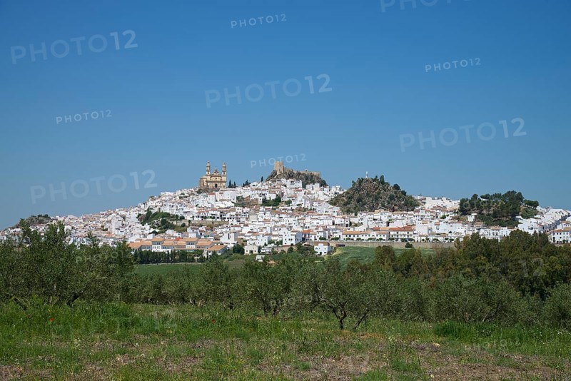 Olvera with the Nuestra Senora de la Encarnacion church and a Moorish castle