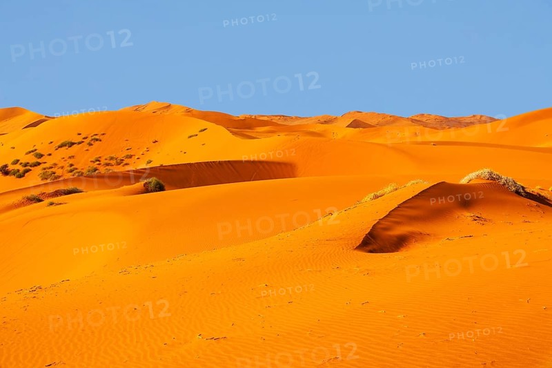 Sand dunes