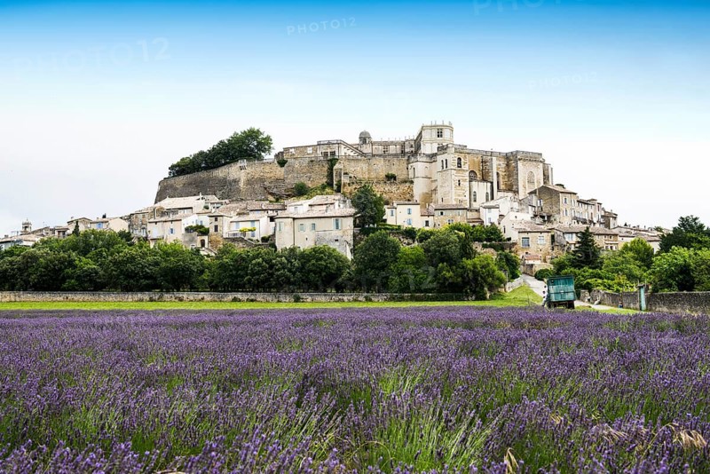 Town view with palace