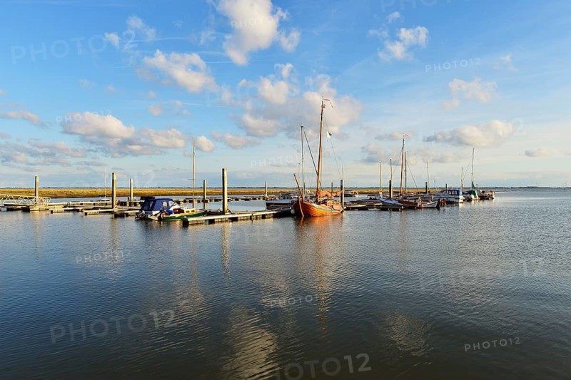 Boats in the marina of the sailing club