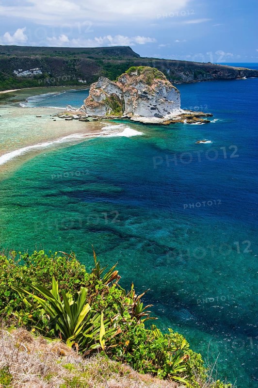 Bird Island