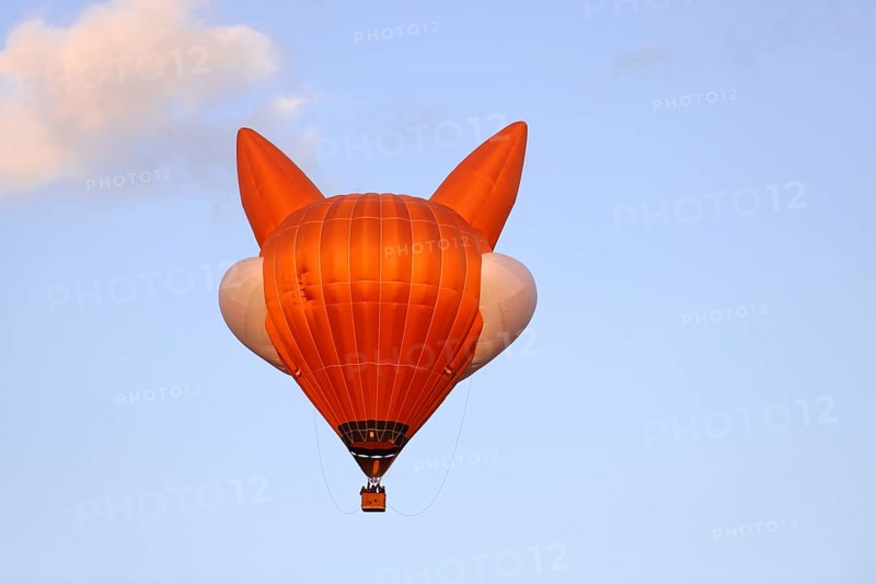 Hot air balloon