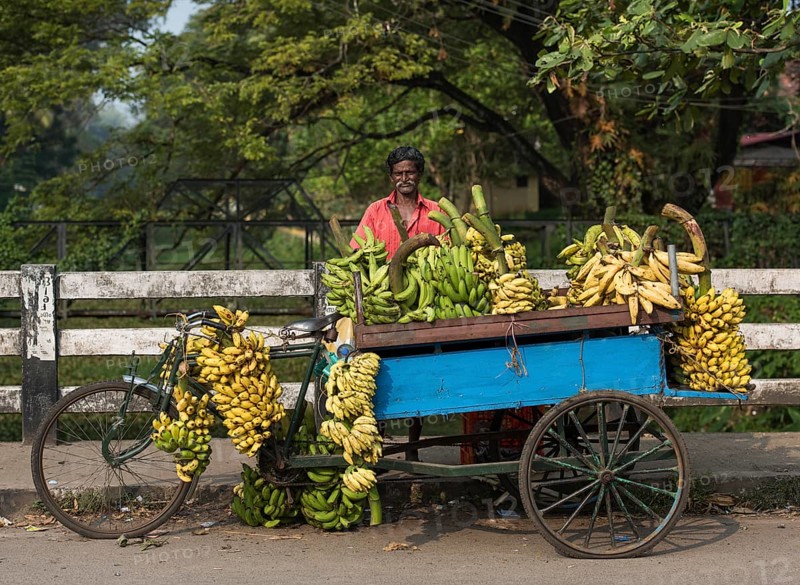 Bananas for sale from a cart