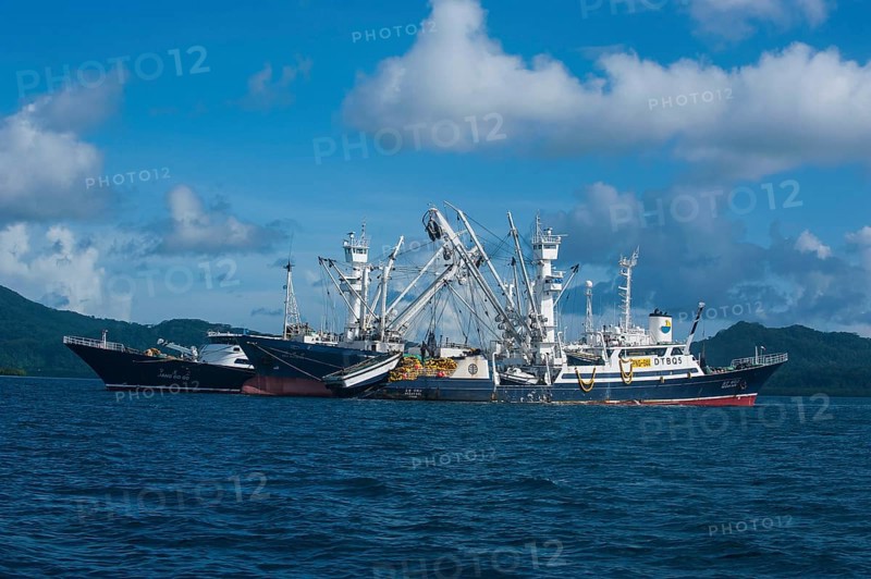 Chinese fishing trawlers