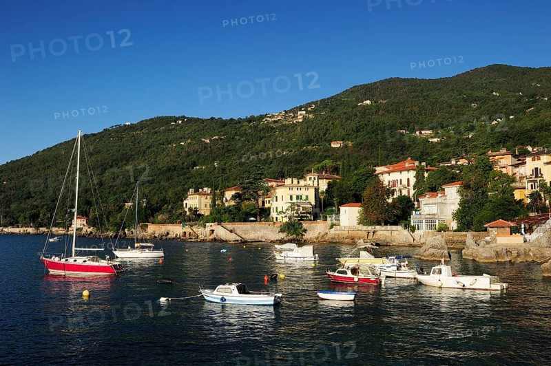 Sailboats moored in the soft morning light