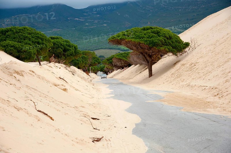 Wandering dune of Bolonia
