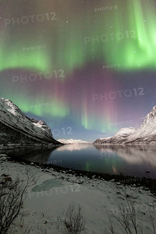 Aurora over the Grotfjord