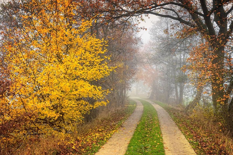 Autumnal view of Marschbahndamm road
