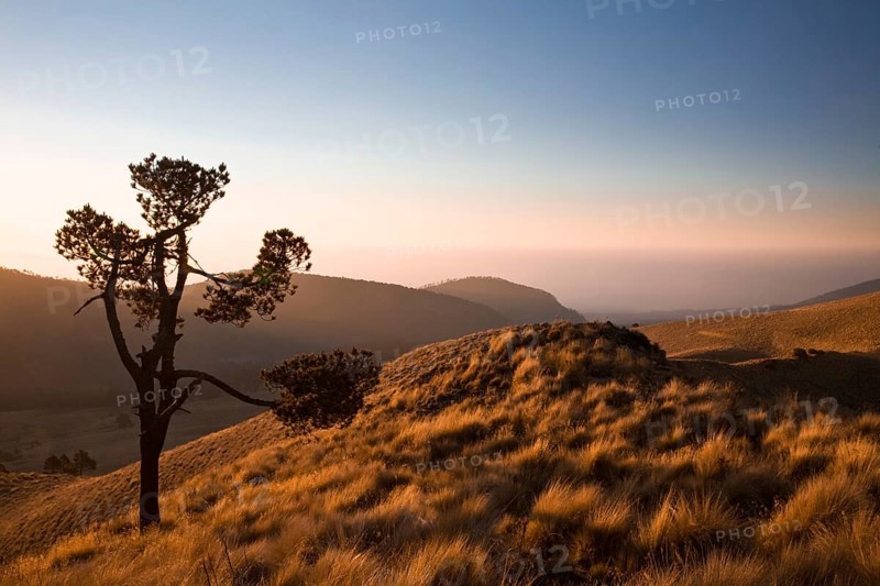 Landscape in the Iztaccihuatl Popocatepetl National Park