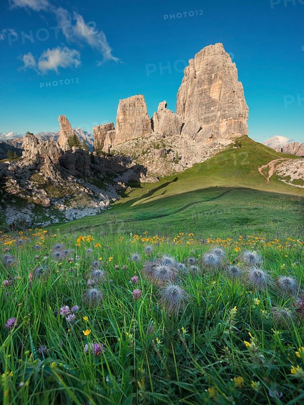 Cinque Torri with blue sky and a meadow with flowers in the foreground