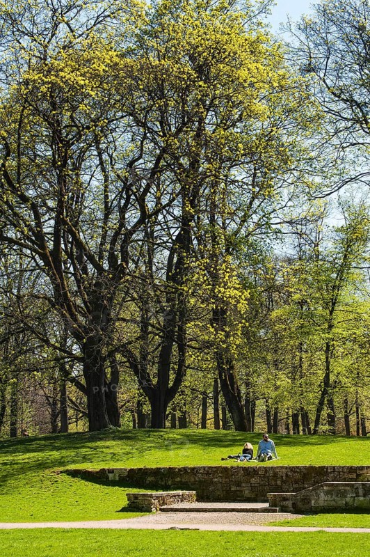 Luitpold Park