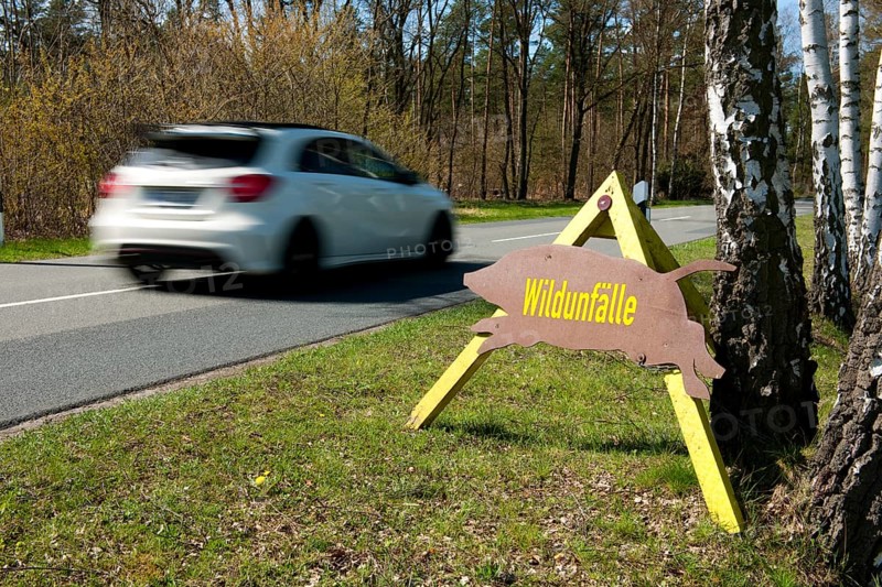 Sign with the German word ""Wildunfalle"" with a passing car