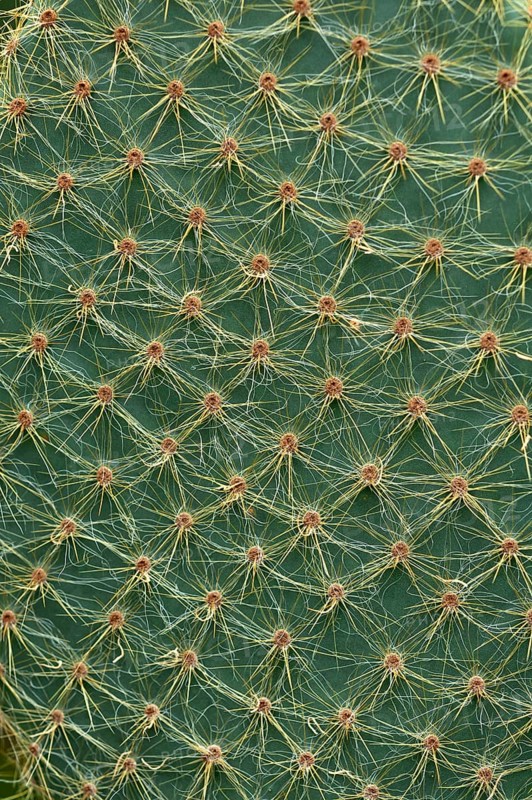 Detail view
