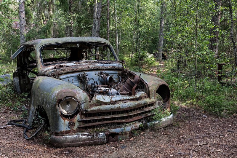 Auto graveyard in the forest