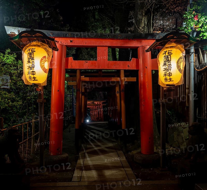 Shinto Shrine
