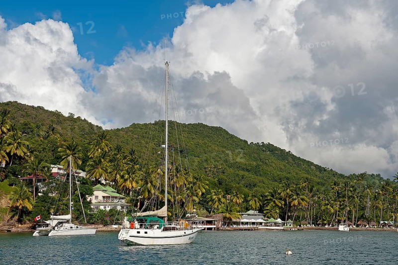 Sailing boats