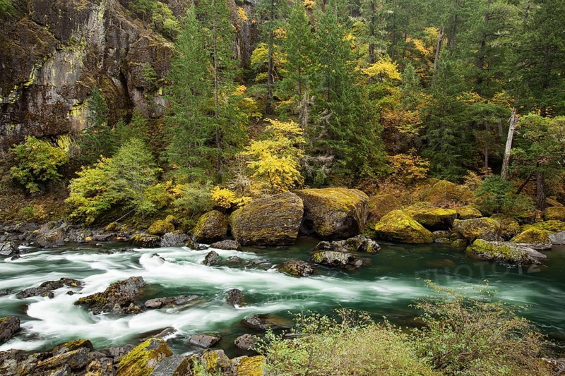 North Umqua River in autumn