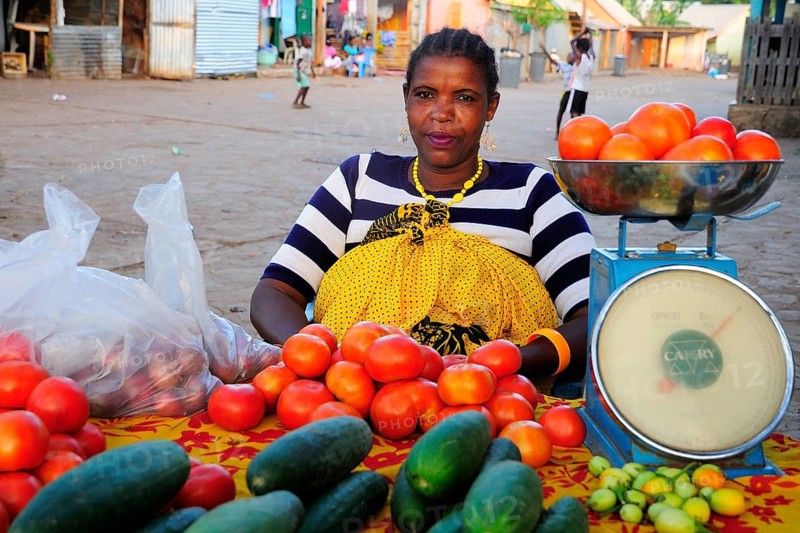 Vegetable seller