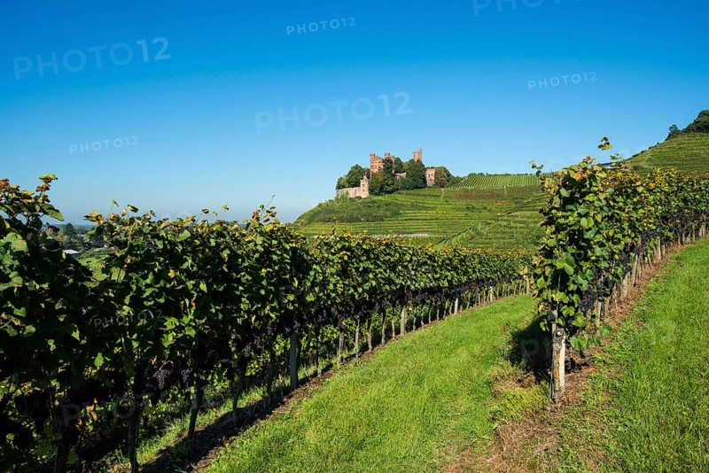 Schloss Ortenberg castle