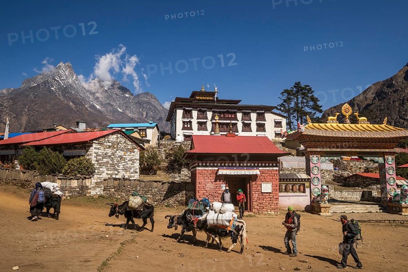 Laden yaks and Sherpas in front of the Tengboche Monastery