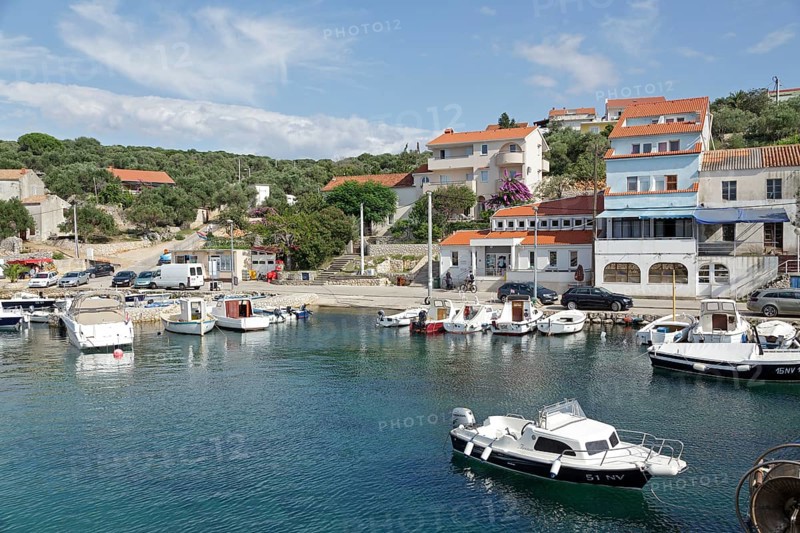 Boats in the harbour