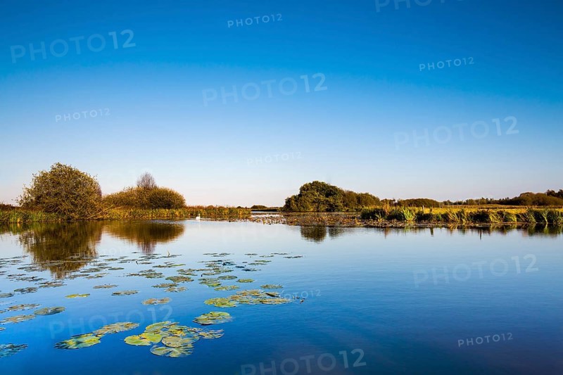 Water at Worpswede