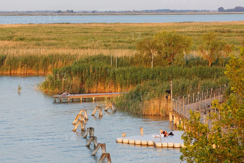 Lake Neusiedl