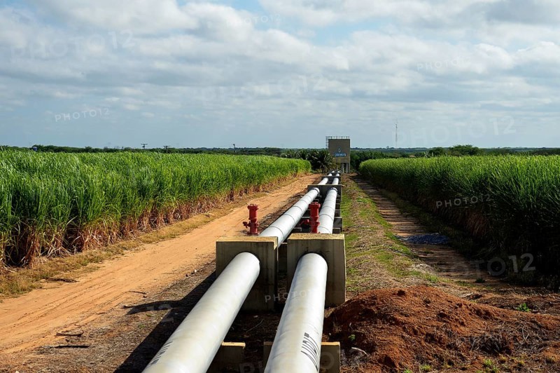 Irrigated sugar cane plantation
