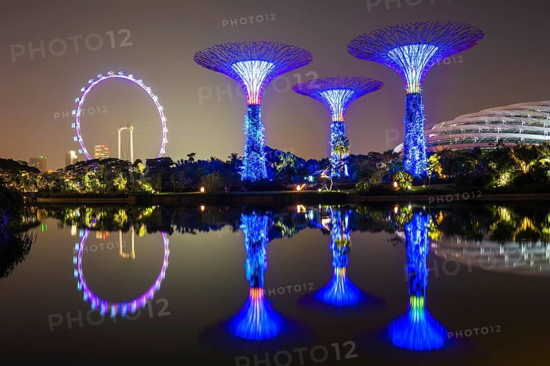 Supertrees