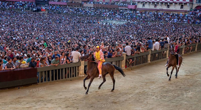The Palio di Siena horse race on Piazza del Campo