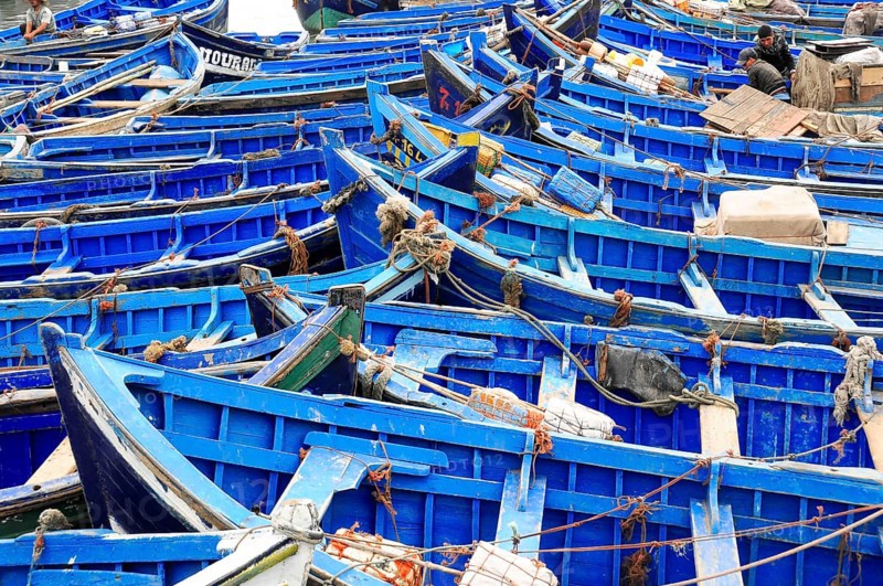 Typical blue fishing boats in the harbor of Essaouira