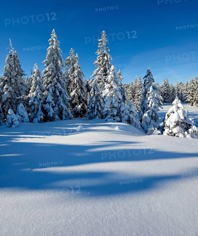 Snow-covered winter landscape