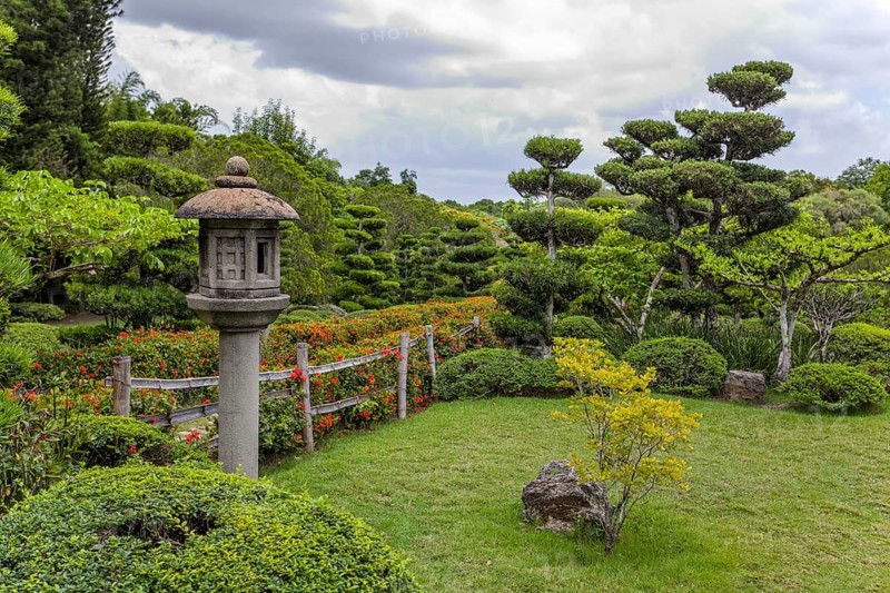 Japanese Garden at the Jardin Botanico National Dr. Rafael Maria Moscoso