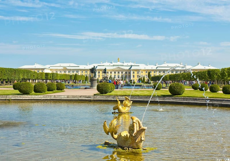 Fountain with golden fish