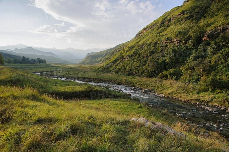 Grass landscape with a river