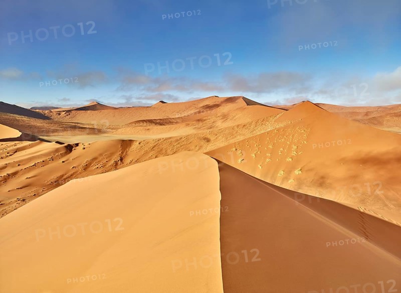 View from Dune 45