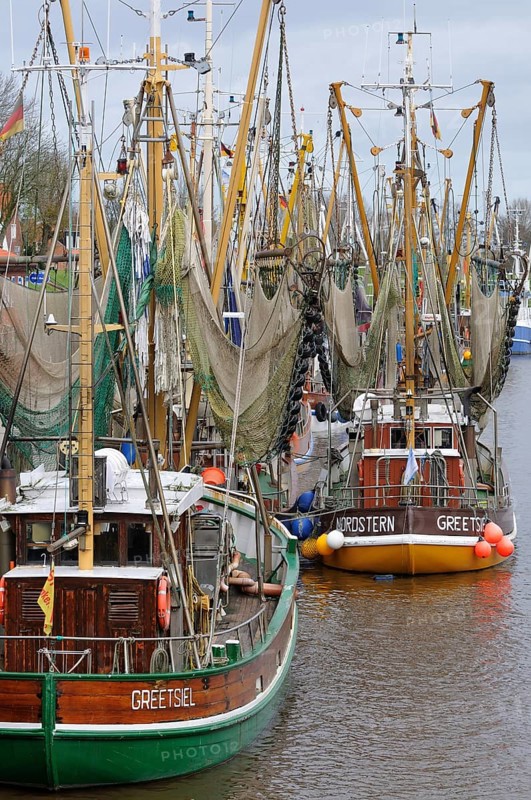 Fishing boats in the harbor