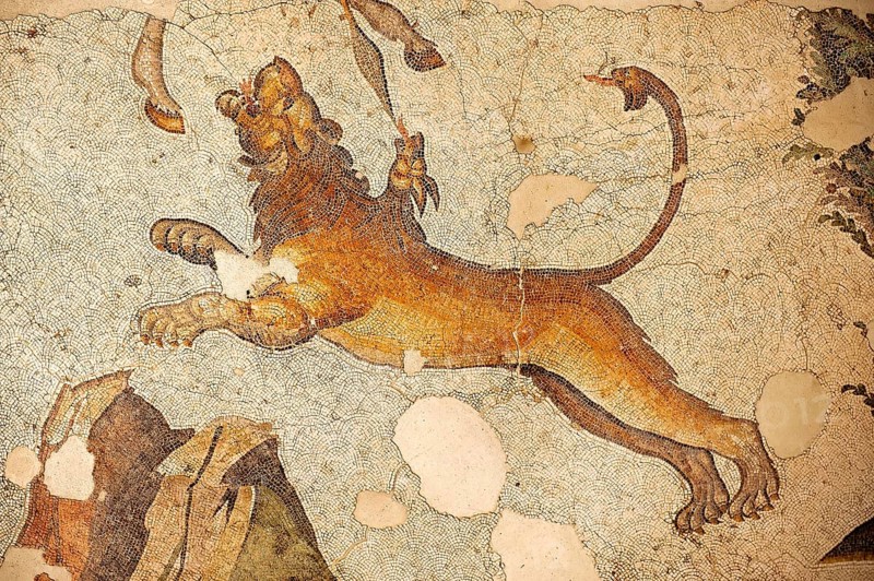 6th century Byzantine Roman lion mosaic