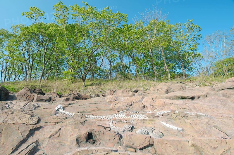 Sculpture