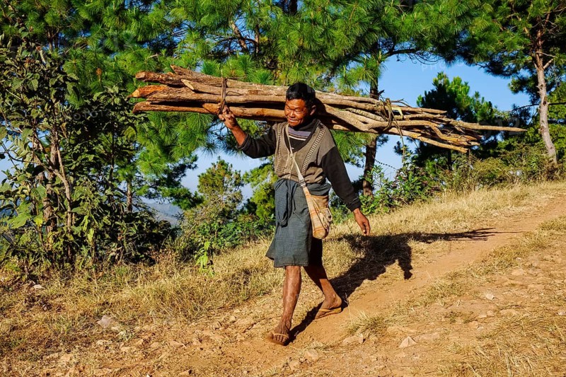 Man collecting firewood