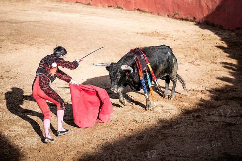 Torero giving the the death blow