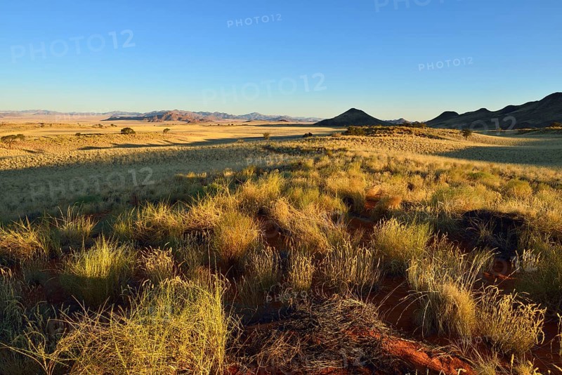 View over NamibRand Nature Reserve
