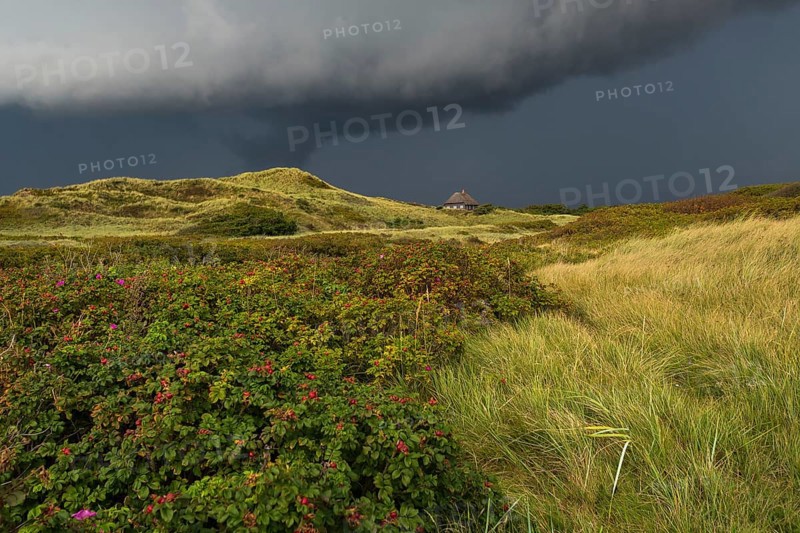 Dramatic storm clouds over dunes