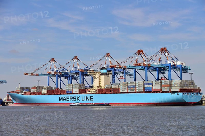 Container ship and gantry cranes